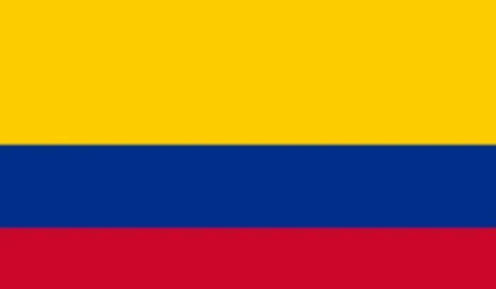 حال تأهب بيئي في بوغوتا بسبب حرائق الأمازون الكولومبية