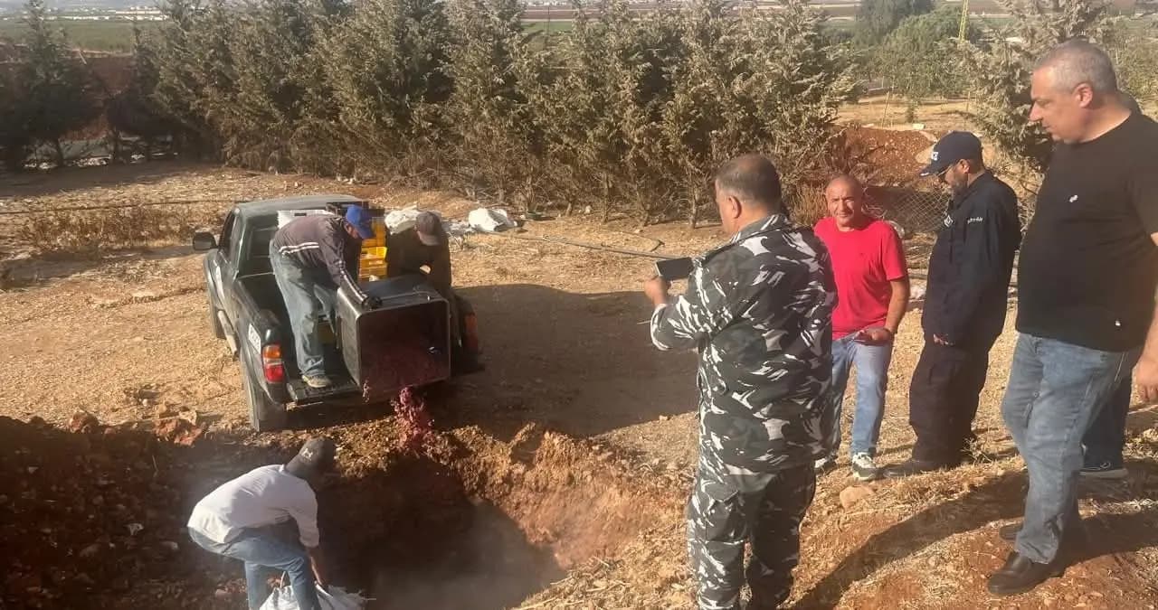 تربل تتلف دجاجًا فاسدًا.. تحذير للصحة العامة