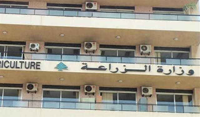 وزارة الزراعة تشدد على الالتزام بتراخيص الأحراج