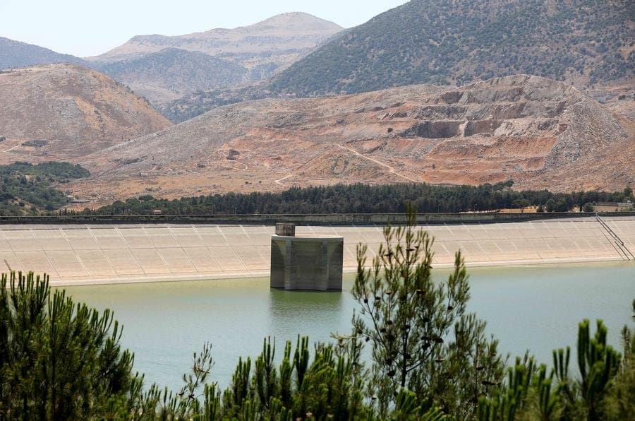 بالصور: ضيف لطيف في بحيرة القرعون