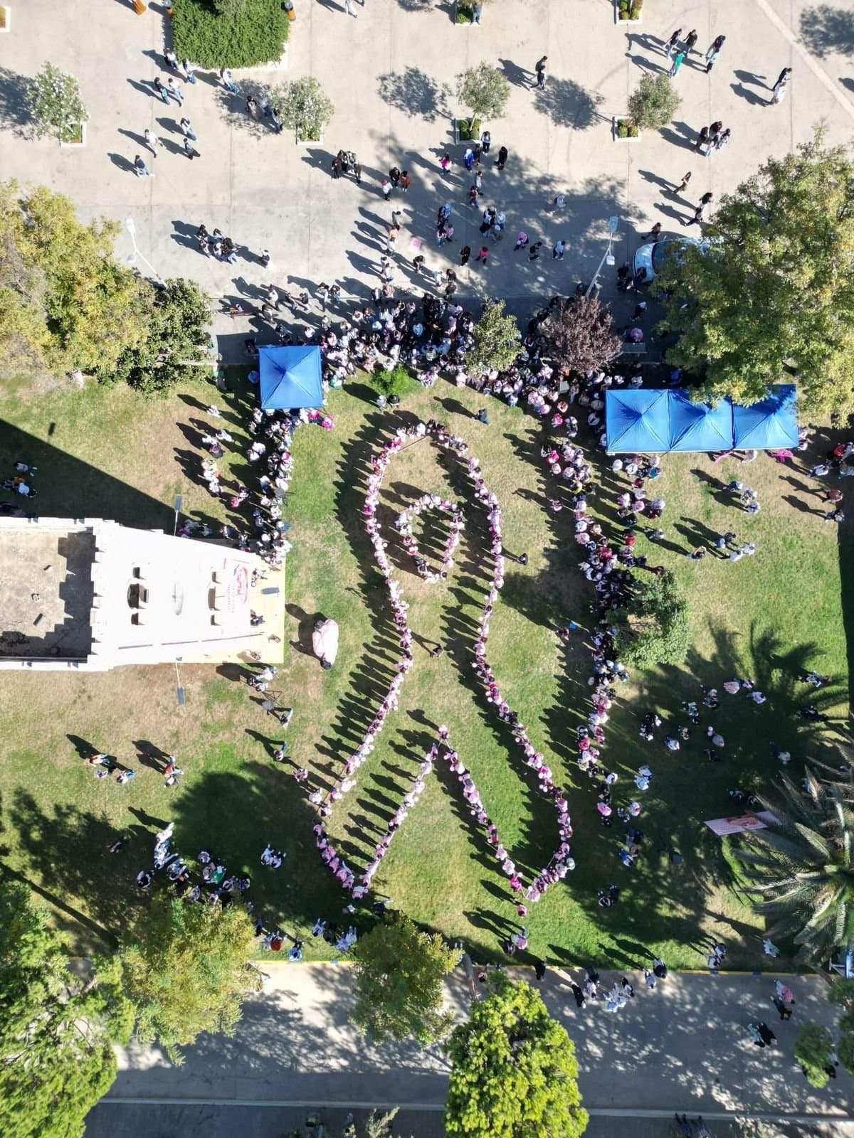 الجامعة اللبنانية الدولية تتزين بالوردي: للتوعية لإجراء الفحص المبكر لسرطان الثدي