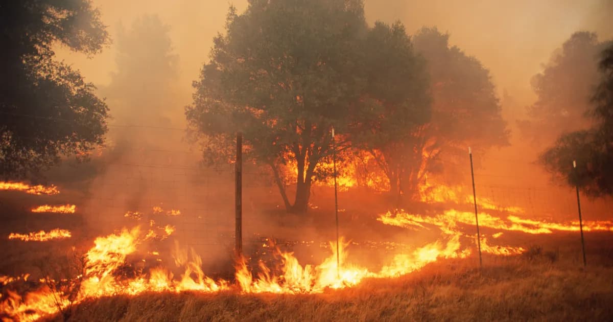 بلدية المطلة تطلب مساعدة عاجلة لإخماد الحرائق