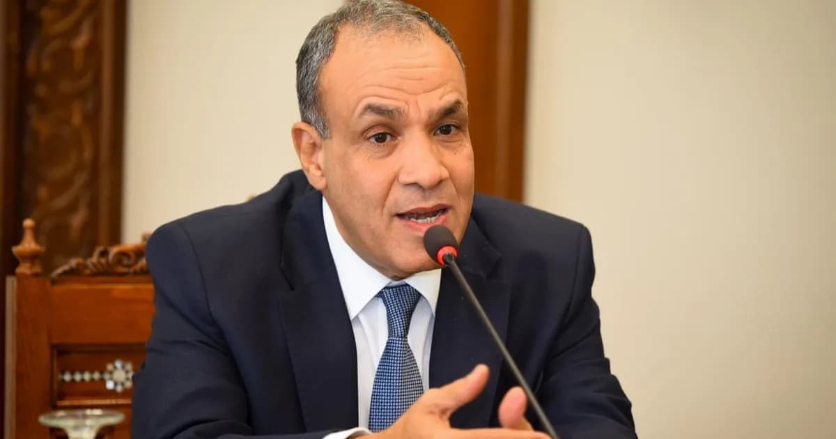 عبدالعاطي: لتسريع تشكيل "القوة الدولية" في غزة