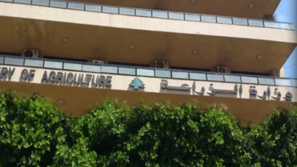 حملة "20 كلغ بطاطا بتساعد".. الزراعة تطلق دعمًا لمزارعي لبنان