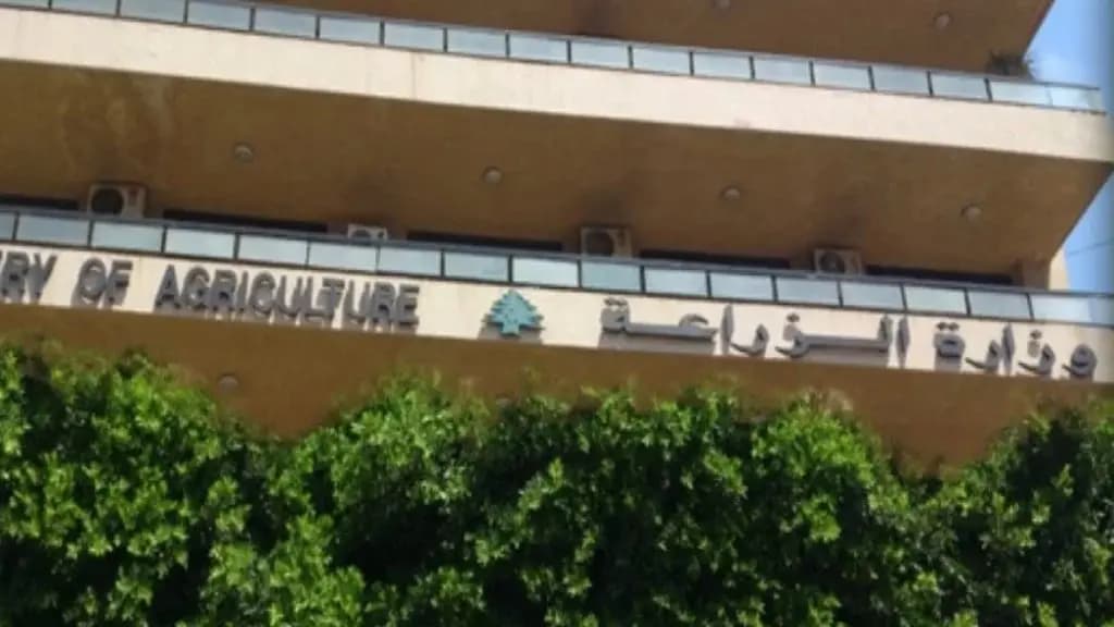 حملة "20 كلغ بطاطا بتساعد".. الزراعة تطلق دعمًا لمزارعي لبنان