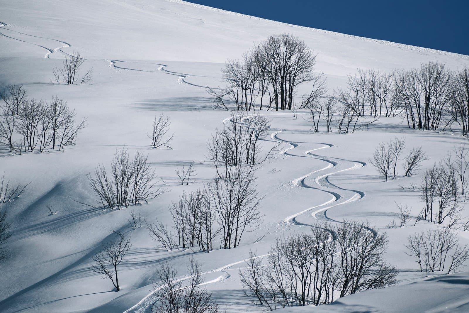 ​"الزائر الأبيض" يكسر صمت الشتاء.. قيصر لـ "الأفضل نيوز": الجبال على موعد مع الثلوج