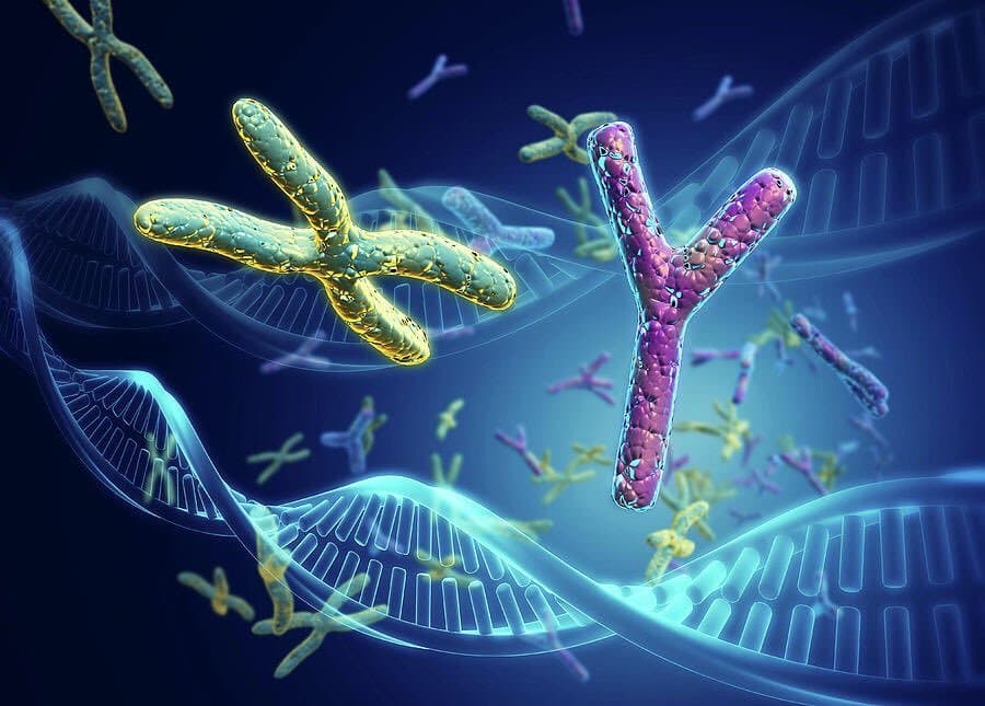 هل اقتربنا من "انقراض الذكور"؟ إليكم حقيقة كروموسوم Y