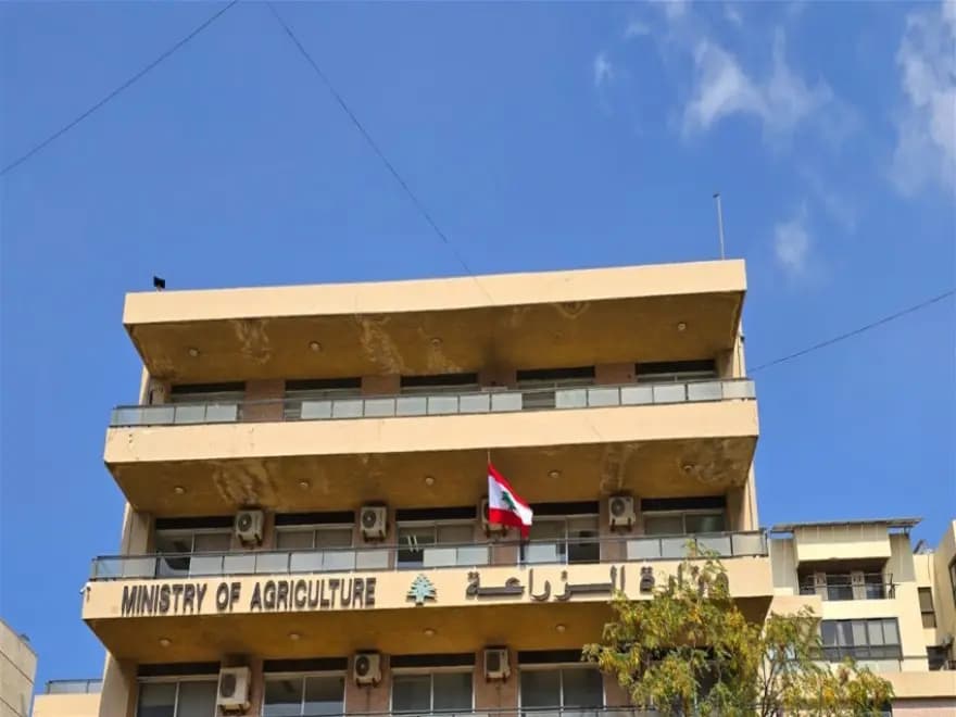 الزراعة توضّح: لا وباء بين أبقار البقاع