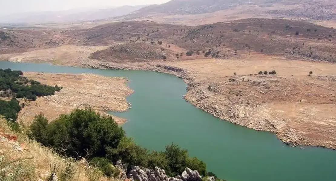 "5000 شجرة" لإحياء ضفاف نهر الليطاني!