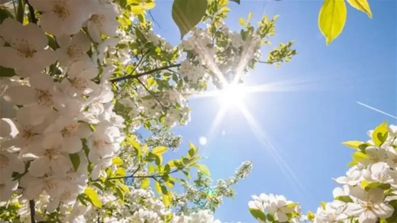 "بريك" للطقس قبل عودة الأمطار