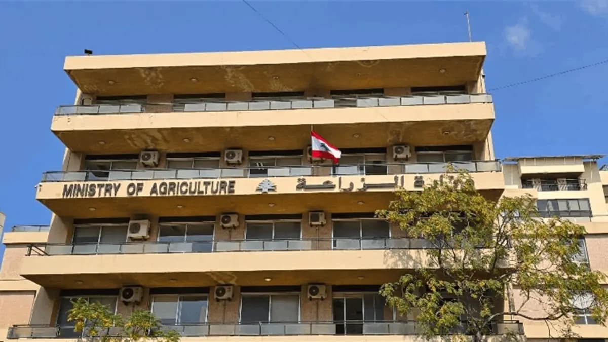 لحماية “الهوية الغذائية”.. لجنة رسمية للمنتجات اللبنانية التقليدية