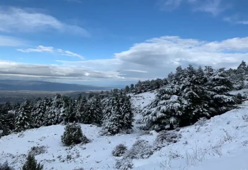 منخفض بارد يضرب لبنان.. أمطار غزيرة وثلوج حتى 900 متر!