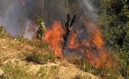 حريق أعشاب وأشجار في جب جنين!