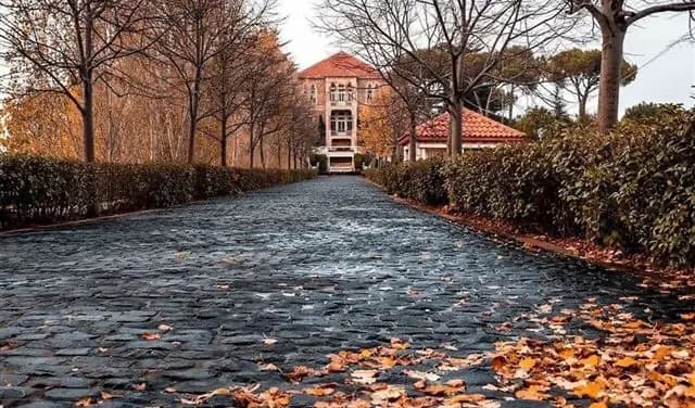 الطقس الخريفي "مستقر" حتى هذا اليوم!