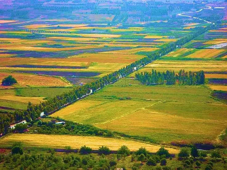 في البقاع: السهل لا يرحّب بالكوليرا!