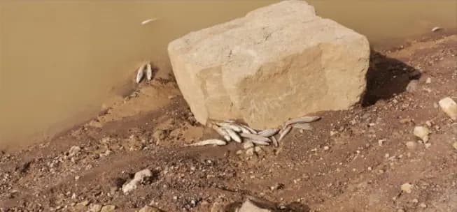 ماذا يجري في "سدّ شبروح".. كتاب من "الصايغ" إلى "ميقاتي"!