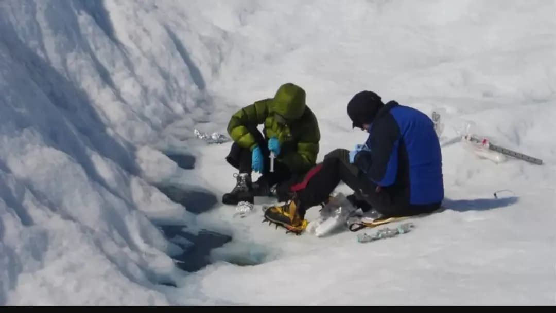 ما علاقةُ ذوبانِ الأنهار الجليديّة بانتشارِ البكتيريا؟