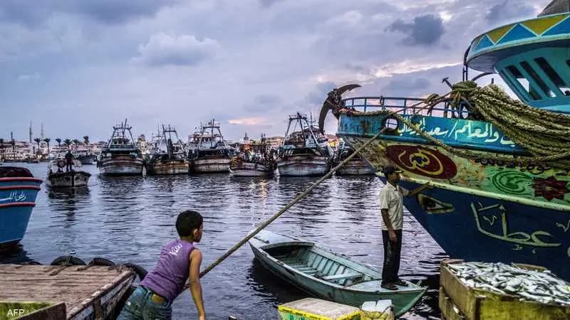السودان.. نفوقٌ جماعيٌّ لأسماك البحر الأحمر يثير المخاوف