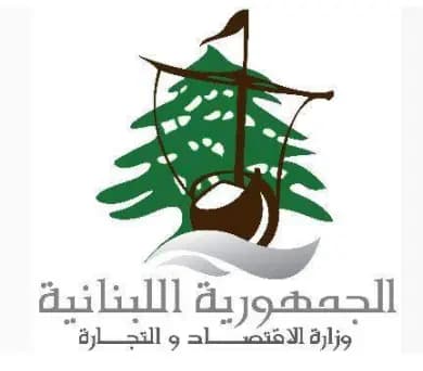 مديرية حماية المستهلك تسطّر محاضر ضبط بحقّ سوبرماركت و 4 أصحاب مولّدات في النبطية