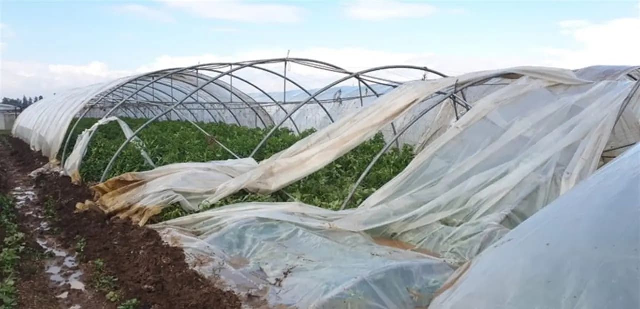 المزارع يتعرّض للاحتكار!