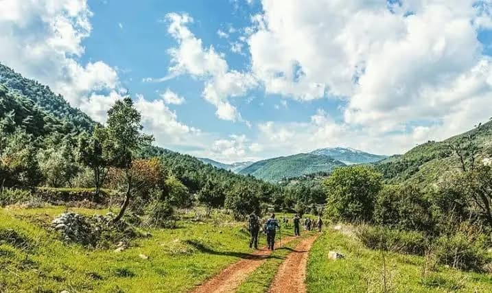 ٣ مجازر في عكار!