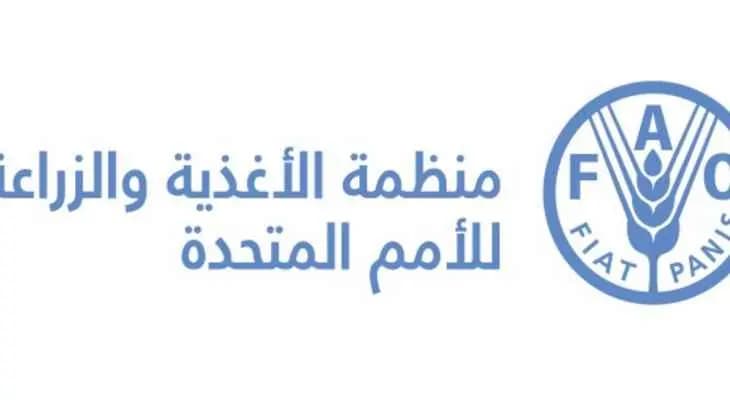 "الفاو": أسعار السلع الغذائية بلغت مستوى قياسيًا في شباط متجاوزًا مستواه السابق عام