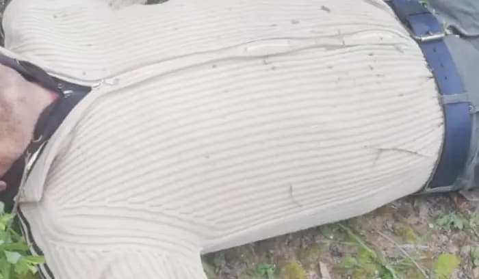 العثور على جثة مواطن في صور