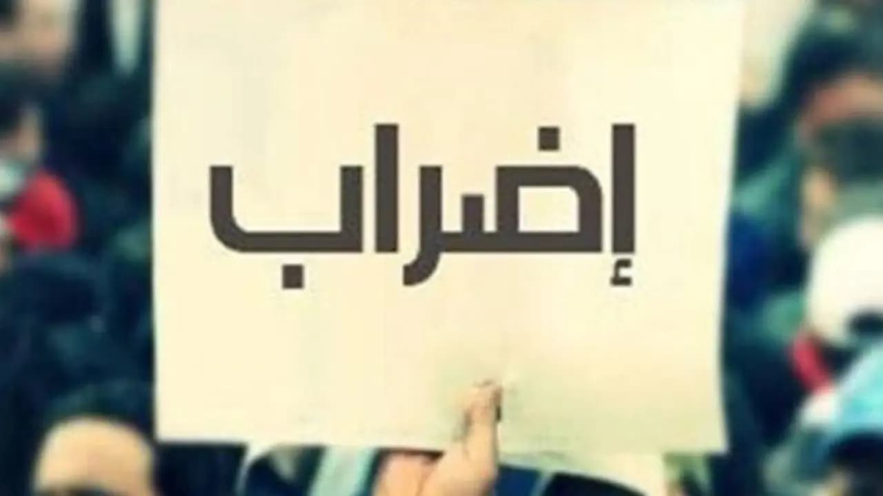 لجنة متعاقدي اللبنانية: مستمرون بالاضراب