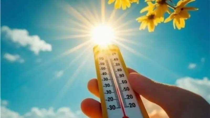 حرارة وضباب على المرتفعات.. إليكم تفاصيل الطقس