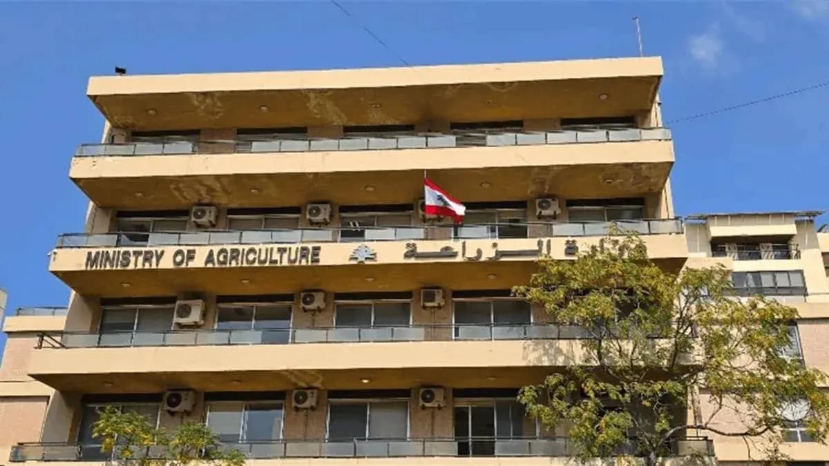 "الزراعة" ترحب بقرار السعودية: فرصة مفصلية لإطلاق مسار التعافي