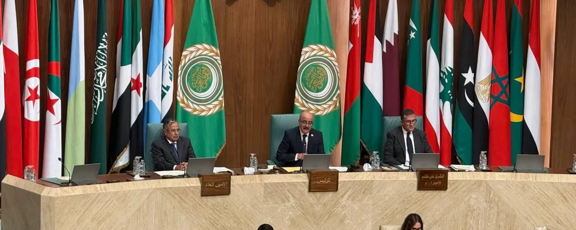 وزراء الخارجية العرب: لتدخل دولي لحماية الفلسطينيين