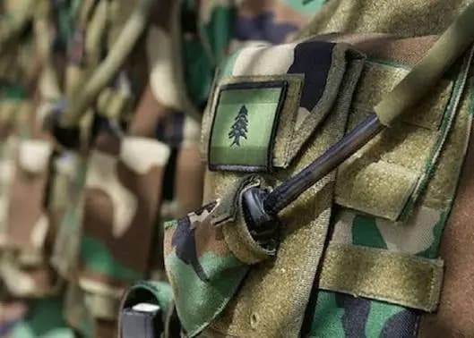"من زحلة إلى عكار فبعلبك".. توقيفات للجيش و ضبط أسلحة