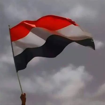 "سنستمر حتى يتوقف العدو عن عدوانه".. القوات اليمنية تواصل عملياتها!