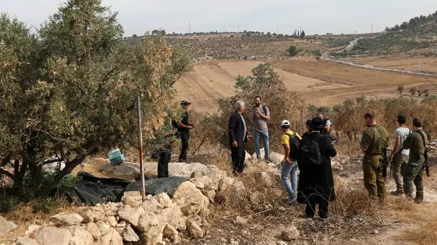 يديعوت أحرونوت: حاخام إسرائيلي يفتي بجواز سرقة المستوطنين محصول الزيتون الفلسطيني