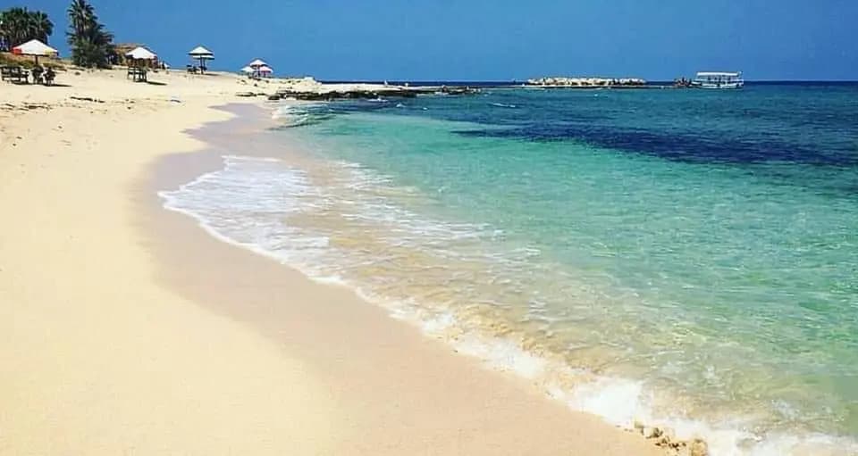 مساحات مجانية أكثر.. وشواطئ جديدة تفتح أبوابها!