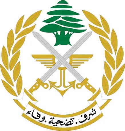 ًالجيش يضـ.ـبط الحدود الشرقية بقاعا