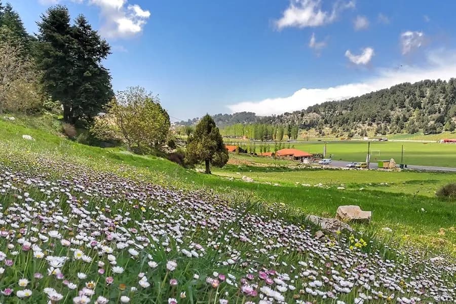 الربيع يمدّد إقامته في لبنان