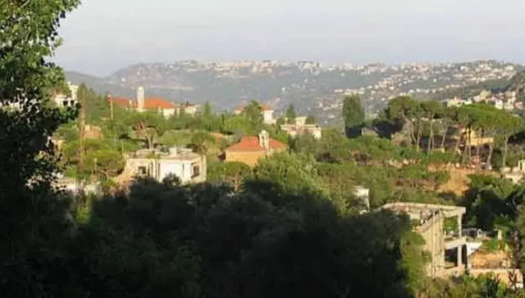 هذا ما جرى فجرًا في قرنايل!