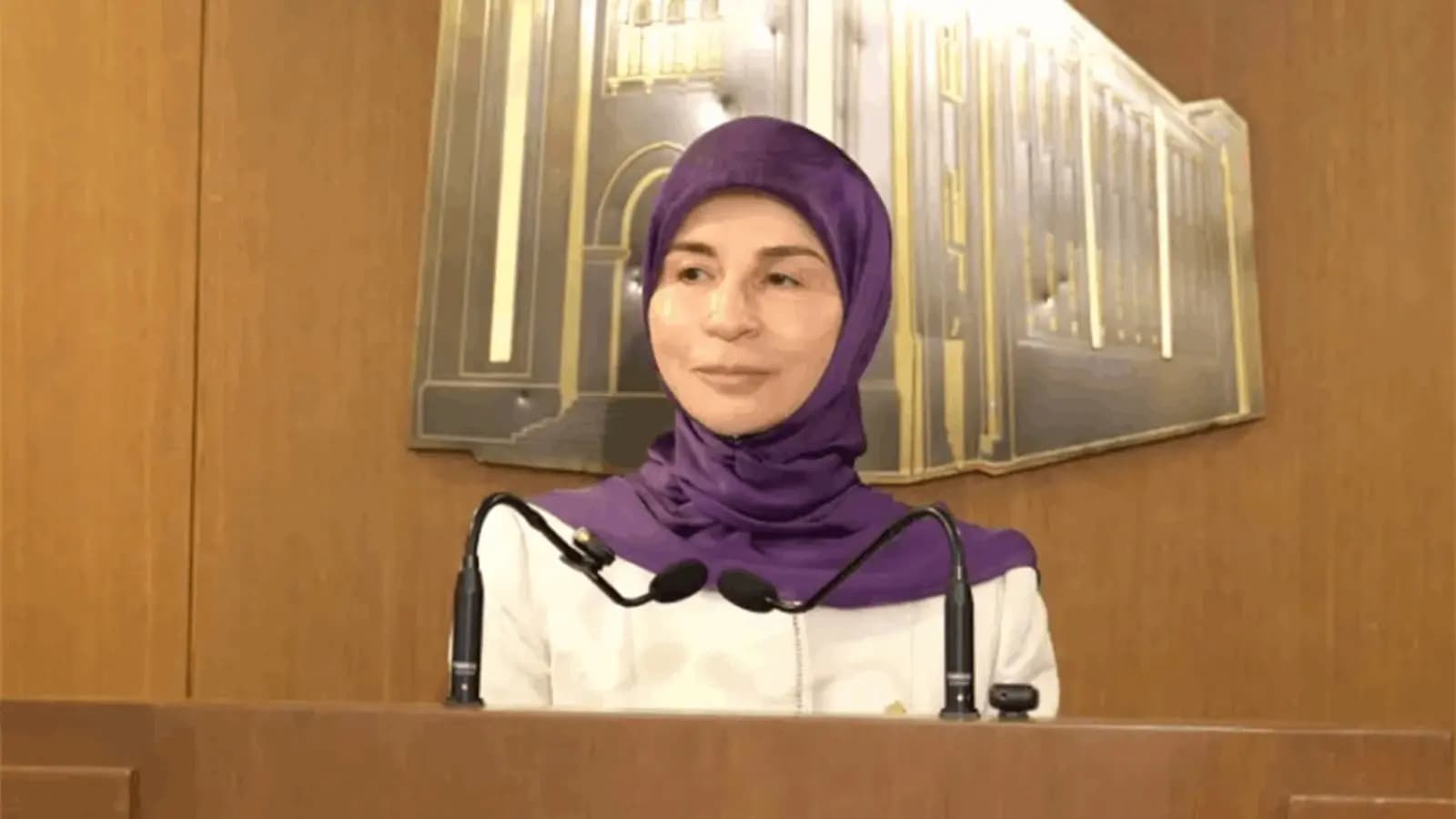 عناية عز الدين تقترح إلغاء شرطٍ يقيّد المرشحات إلى السلك الخارجي