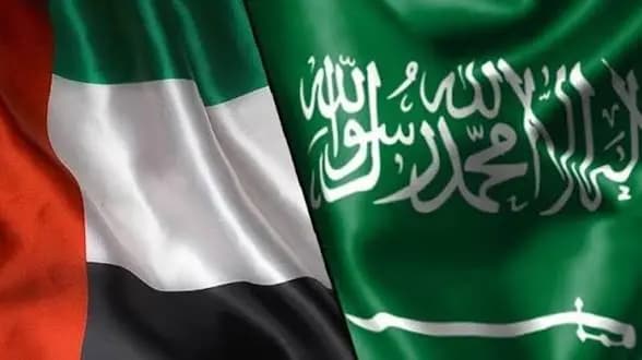 لقاء إماراتي سعودي لبحث تطورات المنطقة