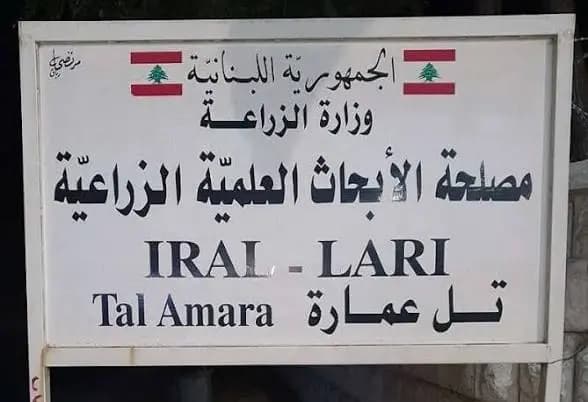 بعد توقيف مدير مصلحة الأبحاث في زحلة.. هذا ما كشفته أمن الدولة