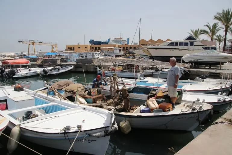 الصيادون يخشون على رزقهم من الاقتصاد الأزرق.. ووزارة الزراعة تُطمئن