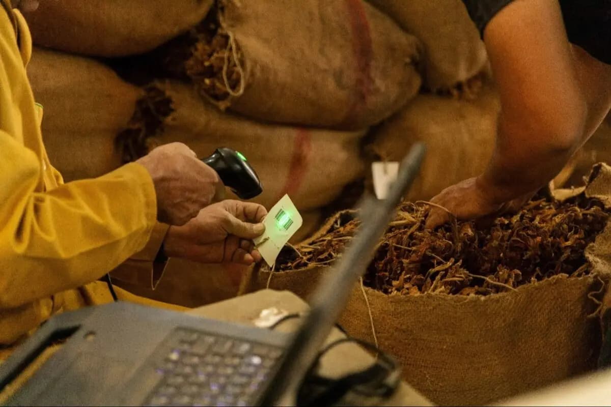 "الريجي" تبدأ عملية تَسَلّم محاصيل الشمال