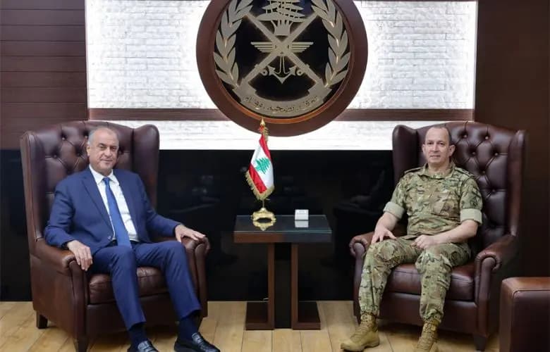 هيكل يبحث مع سليمان أوضاع الشمال