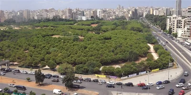 إطلاق نار وإصابات.. ماذا جرى في بيروت قبل قليل؟