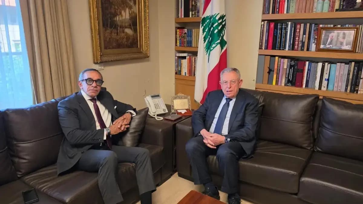 السنيورة استقبل السفير المصري مودعًا