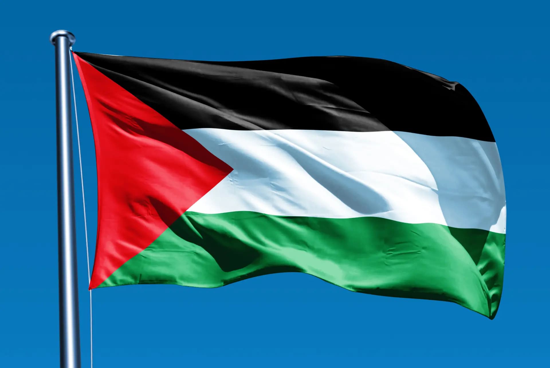 افتتاح سفارة افتراضية في فلسطين
