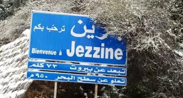 بعد قطعه أمس.. عودة التيار الكهربائي إلى مناطق في جزين