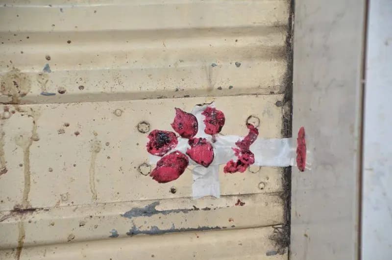 "في هذه المنطقة".. إقفال محل وتوقيف صاحبه