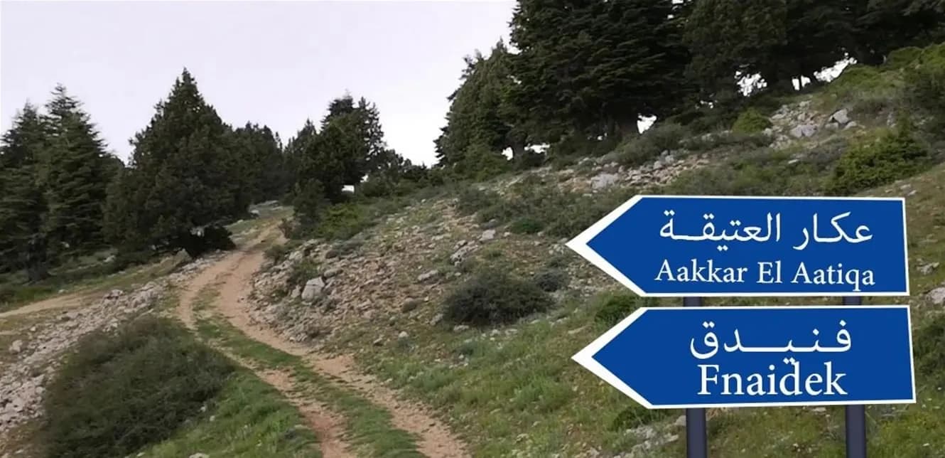 رئيس بلدية يتعرض لإطلاق نار!